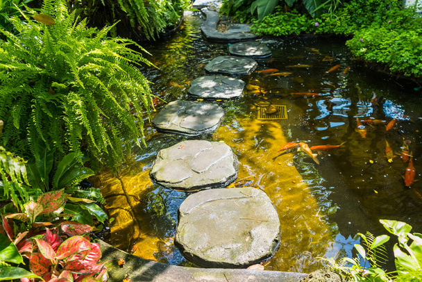 Stone platform, walkway across the garden fish pond - Photo, Image