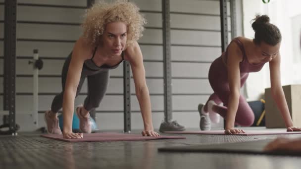 Full shot of young curly Caucasian and Mixed-Race women wearing sports crop tops and leggings, doing knee pulls in plank position on yoga mats in gym - Footage, Video