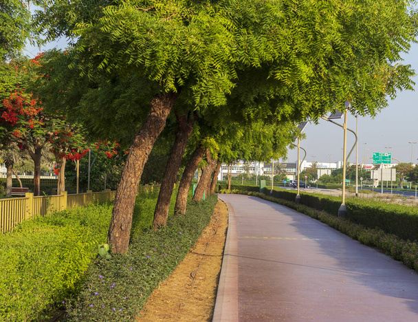 Dubai, Zjednoczone Emiraty Arabskie - 05.21.2021 - Tor biegowy w parku Nad Al Hamar, wcześnie rano. Na zdjęciu widać słupek świetlny zasilany panelami słonecznymi. - Zdjęcie, obraz