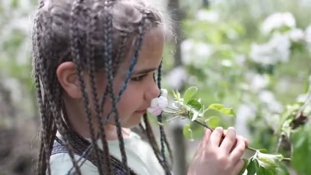Preteen girl enjoying blooming apple garden in spring, relax and freedom, beauty of nature - Footage, Video