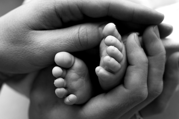 Nohy novorozence v rukou otce, rodiče. Studiová fotografie, černobílá. Šťastný rodinný koncept. - Fotografie, Obrázek