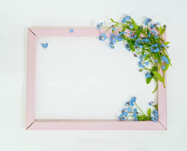 Ξεχάστε με όχι μικροσκοπικά μπλε λουλούδια που διοργανώνονται με χώρο για κείμενο - Φωτογραφία, εικόνα