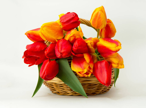 Předmět záběru bílých tulipánů v bílém koši zdobeném hedvábnou stuhou. Jemné faux květiny pro design interiéru jsou izolovány na bílém pozadí. - Fotografie, Obrázek