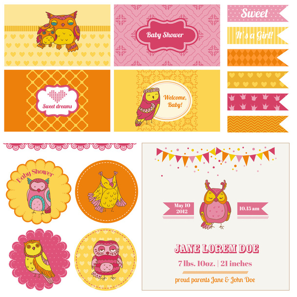 Baby Shower Owl Party Set - for design and scrapbook - in vector - Vector, afbeelding