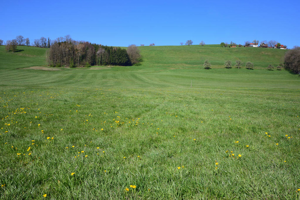 Tiro cênico de um prado verde na primavera no Sul da Alemanha, em uma colina doce com casas nele e contra um céu azul - Foto, Imagem