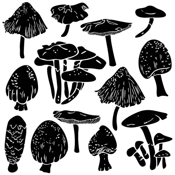 Vektori kokoelma erilaisia sieniä siluetteja. Mykologia sieni suunnittelu. - Vektori, kuva