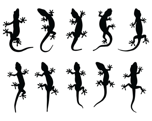 Чорні силуети ящірок на білому тлі
 - Вектор, зображення