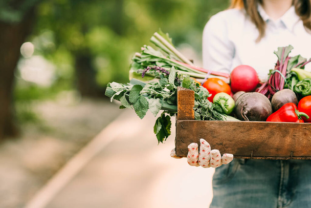 Femme méconnaissable dans des gants démontrant caisse en bois avec divers légumes tout en travaillant à la ferme - Photo, image