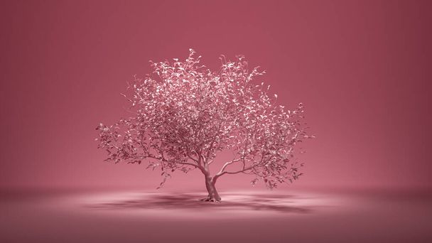 Tek renk arkaplanlı yaprağı olan büyük tek ağaç, 3D görüntüleme - Fotoğraf, Görsel