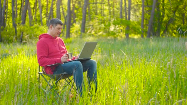 Hombre trabajando en el ordenador portátil en el bosque de verano - Metraje, vídeo