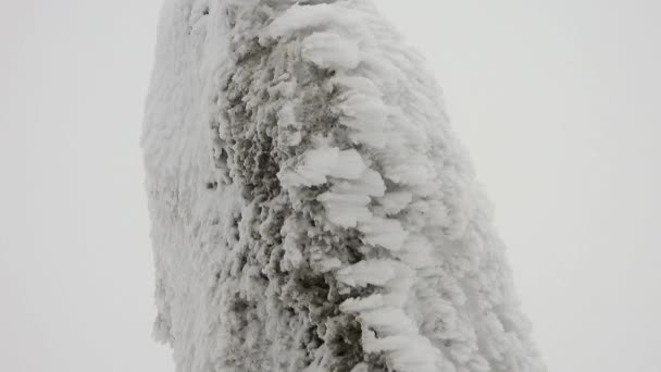 Warstwy śniegu gromadzące się na skale w twardej burzliwej zimnej pogodzie.Spadające kamienne burze sastrugi góry śniegi oblodzone powierzchnia lodowaty mroźny wiatr wiatry natura biały pierwszy mróz góry równina blisko zbocza wzgórza pagórkowaty wzgórza szczyt. - Materiał filmowy, wideo