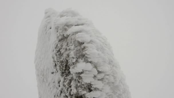 Warstwy śniegu gromadzące się na skale w twardej burzliwej zimnej pogodzie.Spadające kamienne burze sastrugi góry śniegi oblodzone powierzchnia lodowaty mroźny wiatr wiatry natura biały pierwszy mróz góry równina blisko zbocza wzgórza pagórkowaty wzgórza szczyt. - Materiał filmowy, wideo