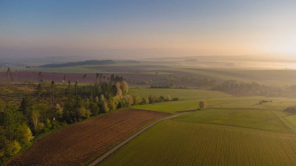 Veduta aerea drone per lunghi sentieri tra campi enormi al mattino di sole. Radkow, Polonia. - Foto, immagini