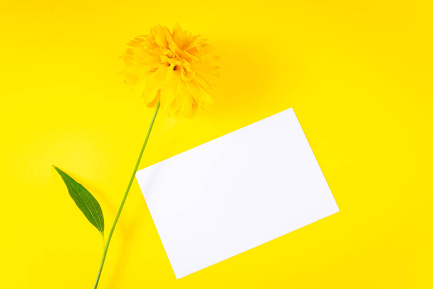 Καλοκαιρινή ιδέα Λευκά ευχετήρια κάρτα και κίτρινο λουλούδι σε ένα φωτεινό φόντο. Μοντέρνος μινιμαλισμός, αντίγραφο χώρου - Φωτογραφία, εικόνα