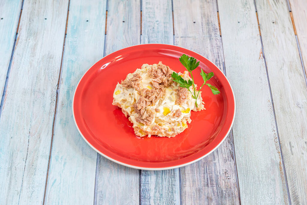 Nice red plate on a table of pastel colored planks containing a serving of Russian salad with tuna and boiled egg - Foto, immagini