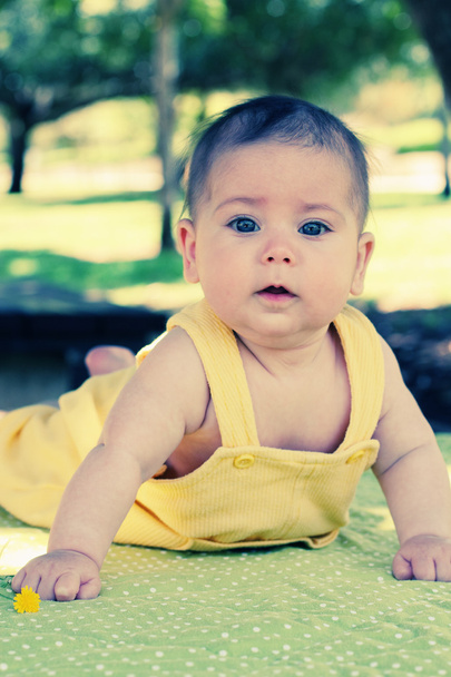 Bebé de 3 meses
 - Foto, Imagen