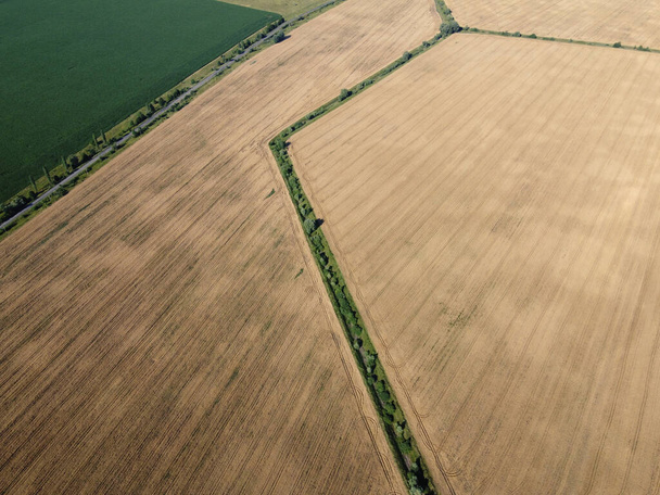 Starý zavlažovací kanál zarostlý stromy mezi pšeničným polem, letecký výhled. Suchý zavlažovací kanál v terénu, krajina. - Fotografie, Obrázek