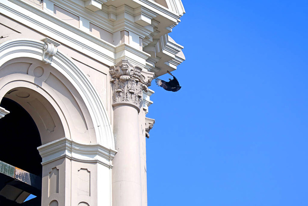 Condor Voando para a torre sineira da Catedral de Lima, um marco icônico no centro histórico de Lima, Peru, América do Sul - Foto, Imagem