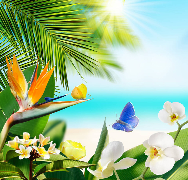Mariposas volando alrededor de flores y plantas tropicales sobre un fondo borroso de playa y océano - Foto, imagen