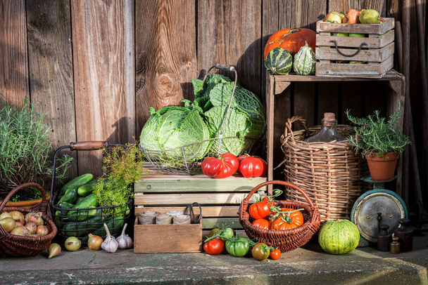 Supplies for winter. Harvest Festival in Poland. Summer harvest in the countryside. - Photo, image
