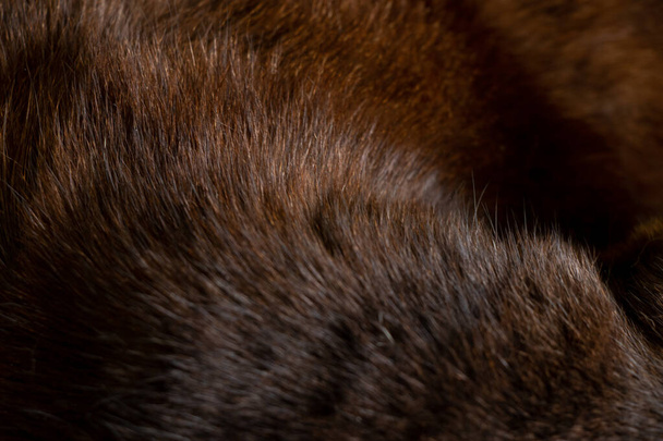 fondo de piel de gato negro de cerca, gato negro, lana - Foto, Imagen