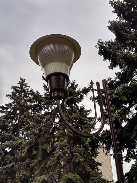 Street lamp against the background of the sky and spring firs. - Photo, Image
