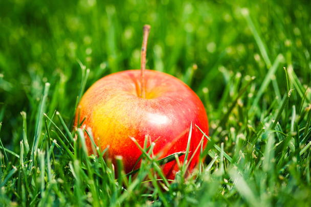 Fresh apple - Foto, Bild