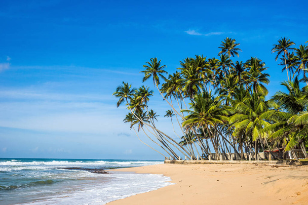Tropical beach near Mirissa in sunny day. Indian ocean shore, Sri Lanka. - Fotografie, Obrázek