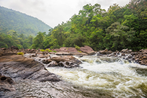 A small jungle river flows down on big stones in Sri Lanka mountains. Morning view. - Foto, Imagem