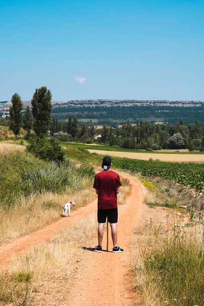 Nuori mies seisoo tiellä peltojen välillä valkoisen koiransa kanssa aurinkoisena kesäpäivänä. Kastilia, Espanja - Valokuva, kuva