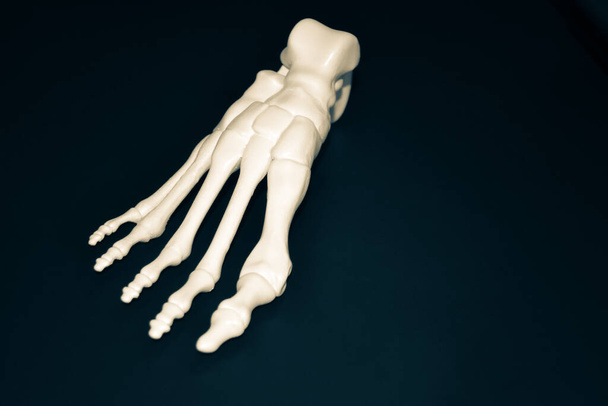Bílý prototyp kostry lidské nohy vytištěný na 3D tiskárně na tmavém povrchu - Fotografie, Obrázek