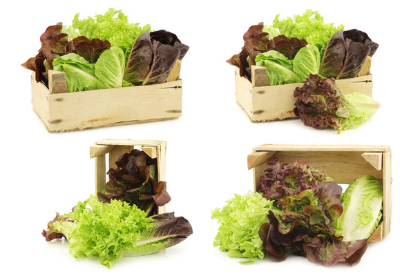 fresh romaine and red lettuce in a wooden crate on a white background - Photo, Image