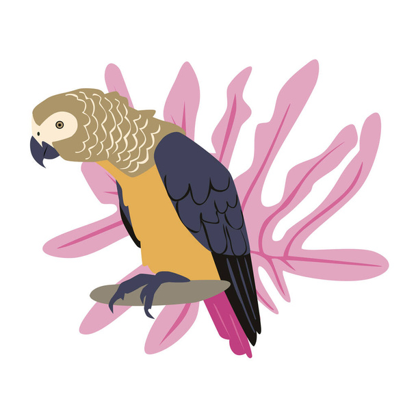 Tropické ručně kreslený barevný papoušek s rostlinami a listy. Papoušek šedý. Vektorové ilustrace izolované na bílém pozadí. - Vektor, obrázek