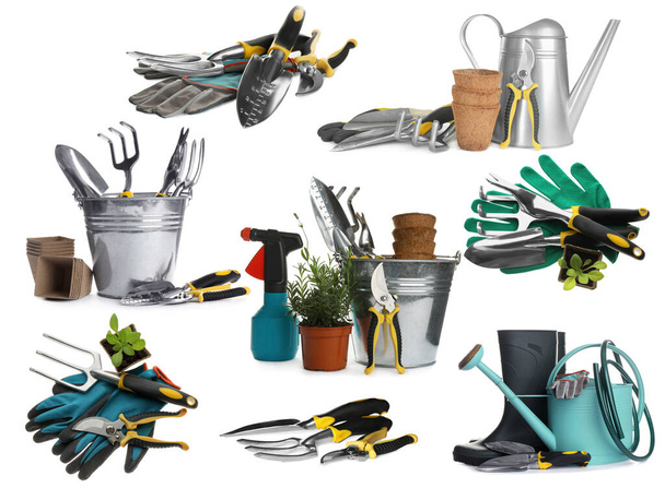 Set of different gardening tools on white background - Fotografie, Obrázek