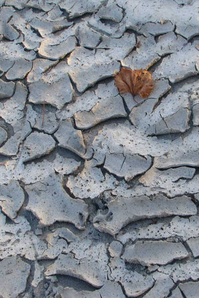 Hoja seca en el suelo agrietado - Foto, imagen