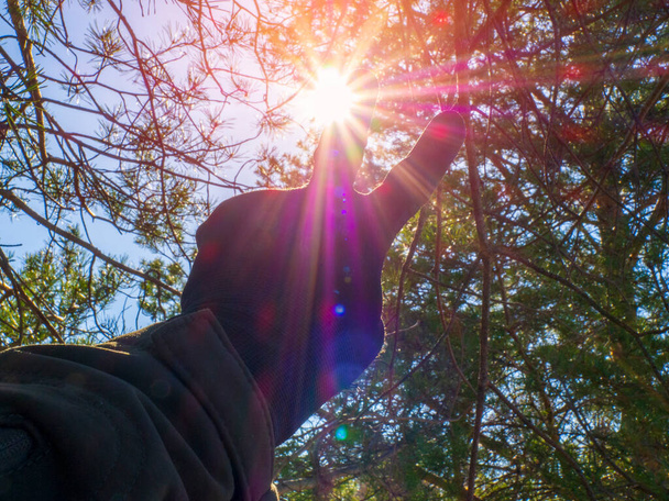 El hombre levanta dos dedos en el sol y señala sus dedos índice y medio en los rayos a través de los árboles. El concepto de la señal de victoria "V". Desenfoque selectivo del enfoque. - Foto, Imagen