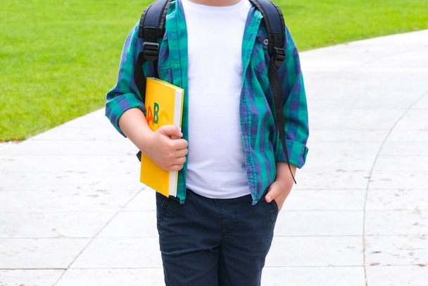 Un écolier avec un livre à la main sur le chemin de l'école. Retour à l'école. - Photo, image