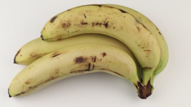 Not fresh bananas with spots isolate - Video, Çekim