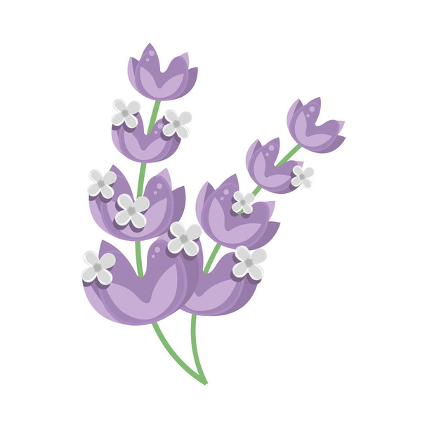 lilac flowers leaves - Vector, afbeelding