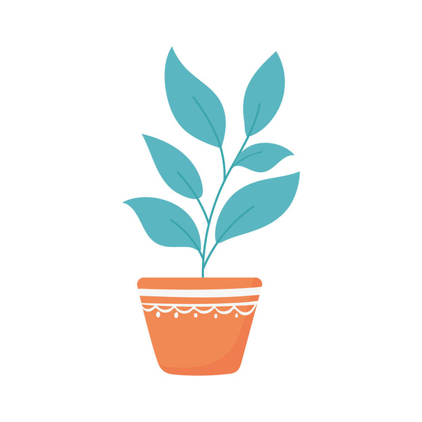 plant in pot - Vector, Image