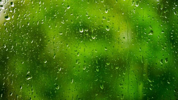 raindrops on a glass window against a background of green foliage, backgrounds, textures - Photo, Image