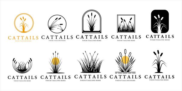 set of cattails or reed logo vintage vector illustration template design. bundle collection of cattails or grass or reeds logo concept for plants and nature vintage design - Vector, Image