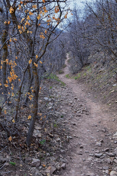 Grandeur Peak hiking trail loop views spring back around Bonneville Shoreline Pipe Line Overlook Rattlesnake Gulch trail, Wasatch Front Rocky Mountains, by Salt Lake City, Utah. United States. USA - Photo, Image