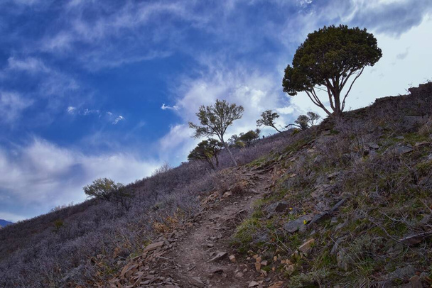 Die Aussicht auf den Grandeur Peak Wanderweg mit Rundumblick entspringt dem Bonneville Shoreline Pipe Line Overlook Rattlesnake Gulch Trail, Wasatch Front Rocky Mountains, bei Salt Lake City, Utah. Vereinigte Staaten. USA - Foto, Bild