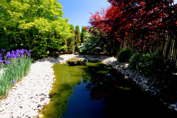 Image immobile vue générale du jardin coloré de style japonais avec des fleurs, des buissons, des arbres en fleurs, des rochers d'étang et de rivière et une petite fontaine dans la pierre
 - Photo, image