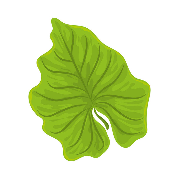 monstera leaf tropical - Vector, Imagen