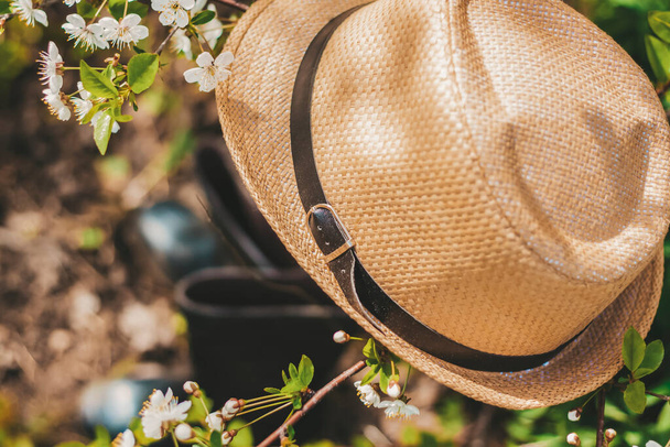 In the garden, on a tree with white cherry blossoms, there is a garden hat, and under it are boots. Gardening and gardening, Active recreation in the country - Фото, изображение
