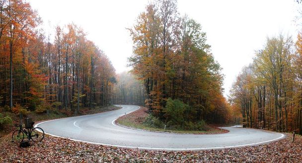 Curvilínea carretera forestal en un pintoresco paisaje. Concepto de viaje y deporte - Foto, Imagen