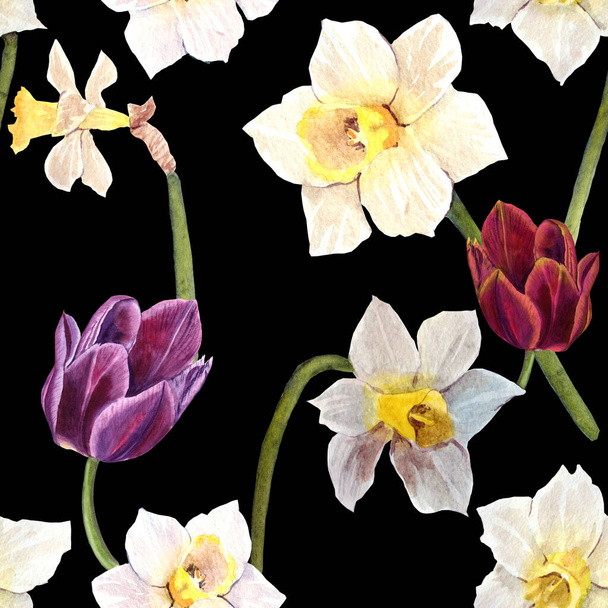 White narcissus and red tulips on black background, floral seamless pattern - Photo, Image