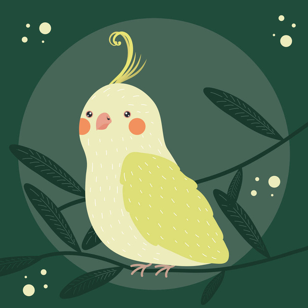 oiseau canari animal - Vecteur, image